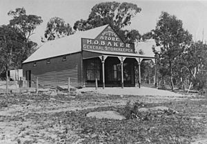 StateLibQld 1 40195 General store at Ballandean, ca. 1920