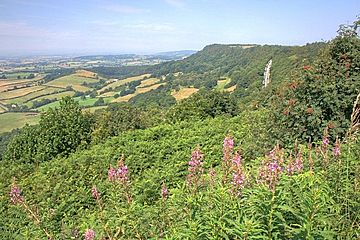 Sutton Bank.jpg