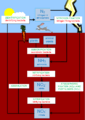 The Nitrogen Cycle