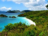 Trunk Bay (2677414468)