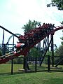 Vortex (Carowinds) 03