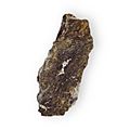 Altaite in rock Lead Telluride Hilltop Mine Organ Mountains Dona Ana County New Mexico 2261