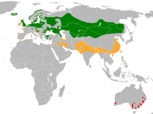 Anser anser distribution map.png