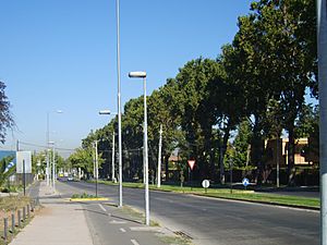 Fernando Castillo Velasco Aveneu (ex Larraín)