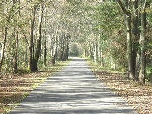 BaldwinRail-Trail.jpg