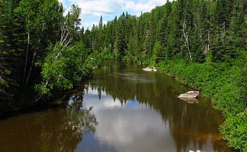 Blanche River.jpg