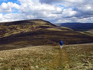 Calf Top, Middleton Fell, as seen from Castle Knott - geograph.org.uk - 1293008