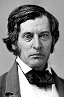 Charles Sumner 1855 BPL-crop