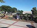 Community garden on First Street in Benicia 2022-04-17 1734