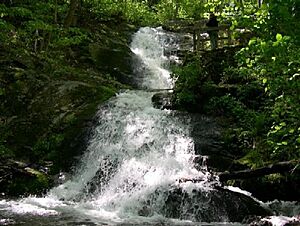 Crabtree Falls.jpg