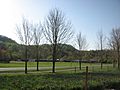 Cullowhee Valley School