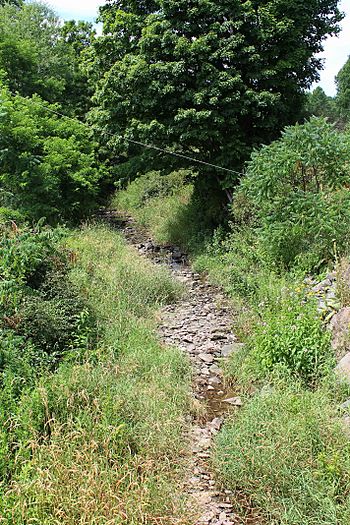 Field Brook looking upstream.jpg