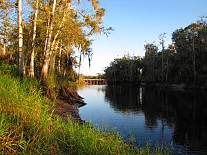 Fisheating Creek - RR bridge