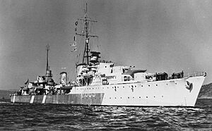 Hmcs-haida