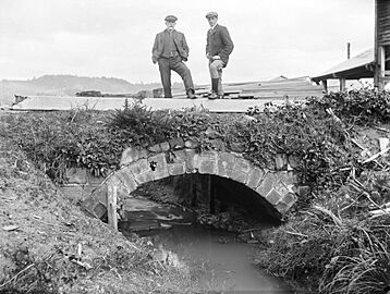 Kohukohu bridge 1900-1920 peet