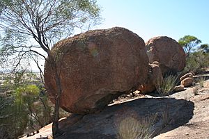 Kokerbin Rock Formation, March 2013