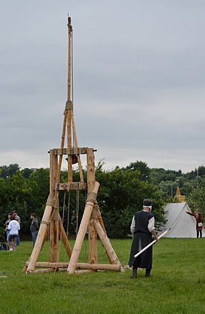 Kolomenskoe2013TAE Trebuchet