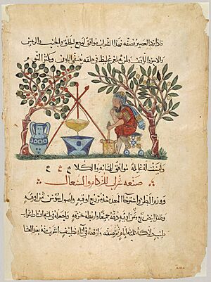 Materia Medica (Arabic translation, leaf)