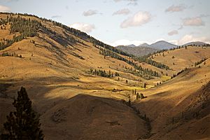 Methow Valley