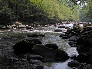 Middle-fork-of-pigeon-river2