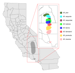 Motyxia distribution