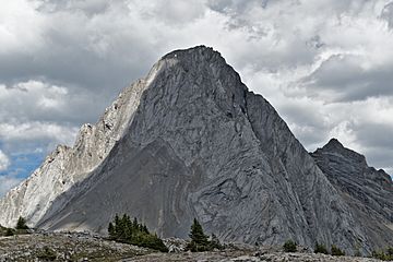 Mount Birdwood from Burstall pass.jpg