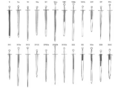 Oakeshott types