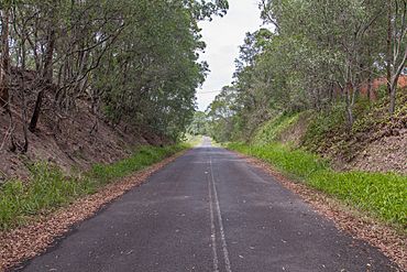 Old Pacific Highway.jpg