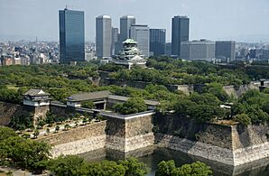 Osaka Castle 02bs3200