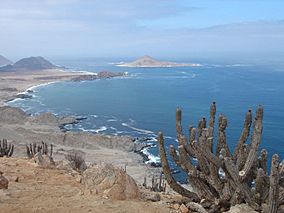 Pan de Azucar National Park.jpg