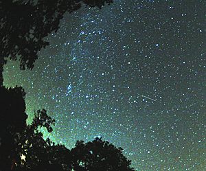 Perseid meteor 2007