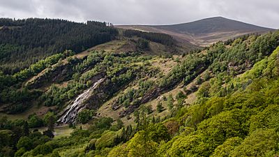 Powerscourt Deerpark and Waterfall