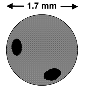 Ricin bullet size