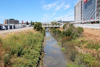 San Tomas Aquino Creek near Levi's Stadium.JPG