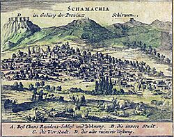 Schamachia 1734