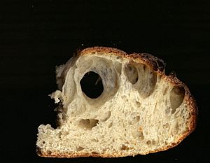 Sourdoughbreadcrumb