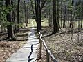 Walkway @ Zen Mountain Monastery