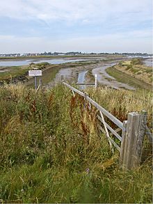 Wallasea Island - geograph.org.uk - 903931