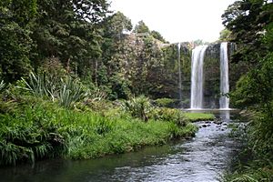 Whangarei Falls