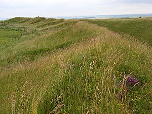 Yarnbury Castle - geograph.org.uk - 477316.jpg