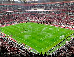 Al Bayt Stadium