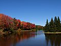 Autumninmoncton