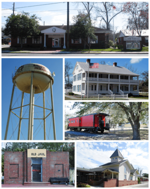 From top, left to right: Baldwin City Hall, Water tower, William Coleman House, Larry M. Carroll Memorial Park, Old Jail, First Baptist Church