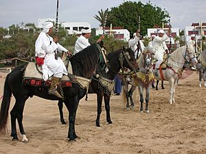 Berber warriors show.JPG