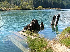 Big River pilings 1