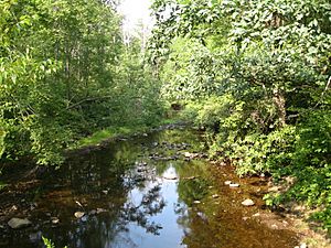 Black Moshannon Creek 2