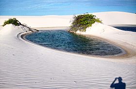 Brazil-Lençois-Maranhenses