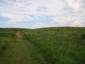 Buffalo River State Park trail.JPG