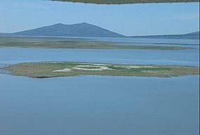 Clear lake nwr nesting island.jpg