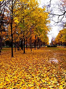 Fall on "God Quad" that Connects North Quad and South Quad